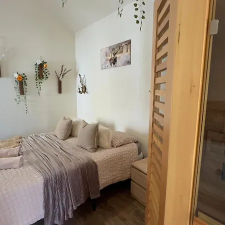 Romance Pour 2 Avec Sauna Et Balneotherapie Prive Apartment