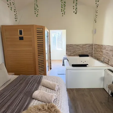 Romance Pour 2 Avec Sauna Et Balneotherapie Prive Apartment *