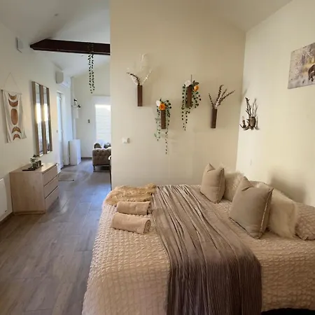 Romance Pour 2 Avec Sauna Et Balneotherapie Prive Apartment Fontenoy (Aisne)