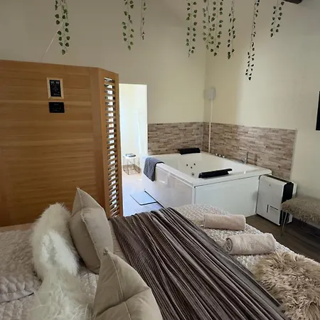 Romance Pour 2 Avec Sauna Et Balneotherapie Prive *