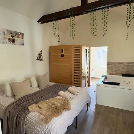 Romance Pour 2 Avec Sauna Et Balneotherapie Prive Apartment Fontenoy (Aisne)